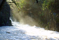 Fairy Glen at Betws y Coed