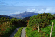 Moel Siabod